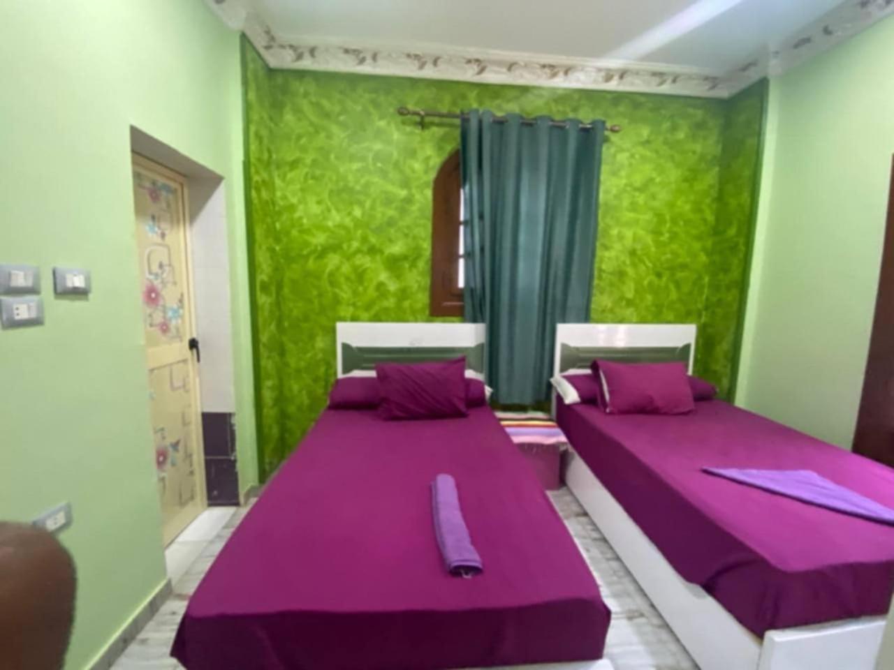 Sunrise Shiny Nubian Guest House Asvan Dış mekan fotoğraf